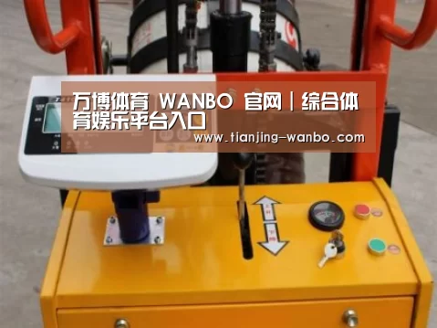 万博体育案例展示三