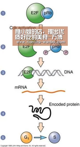 万博体育官网