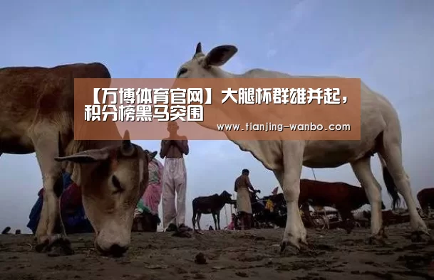 【万博体育官网】大腿杯群雄并起,积分榜黑马突围(图1) 万博体育app