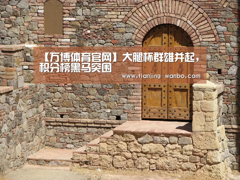 【万博体育官网】大腿杯群雄并起,积分榜黑马突围(图3) 万博体育app